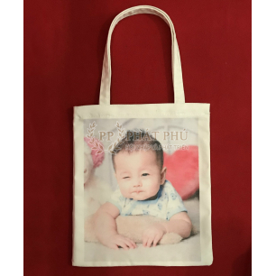 Túi Vải Bố Canvas 21