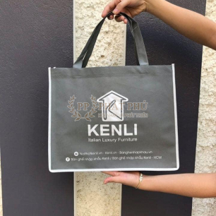 Túi Vải Không Dệt 034 Túi Vải Không Dệt 034