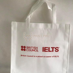 Túi Vải Không Dệt 042 Túi Vải Không Dệt 042