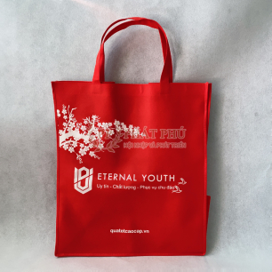 Túi vải không dệt 103 Túi vải không dệt 103