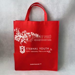 Túi vải không dệt 103 Túi vải không dệt 103