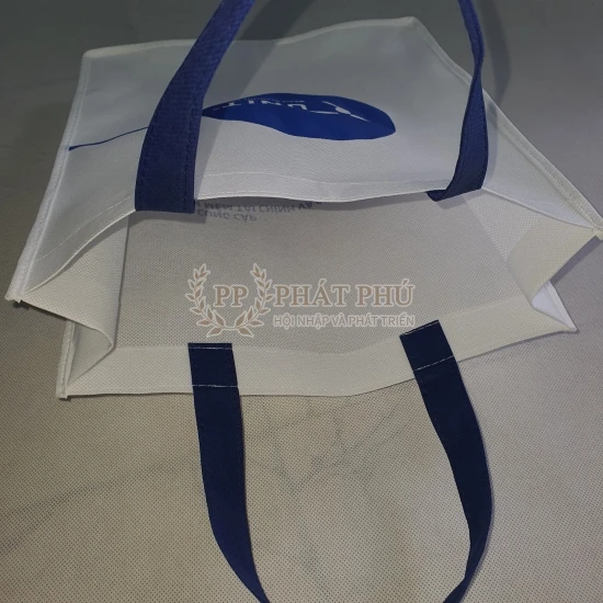 Túi vải không dệt 067 Túi vải không dệt 067